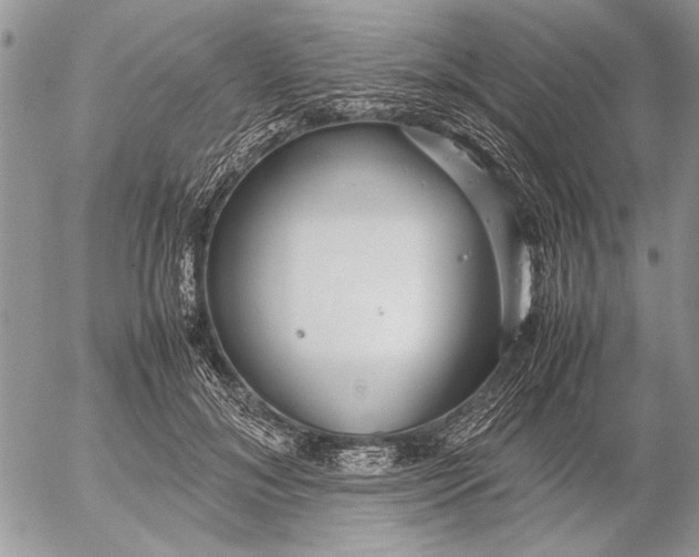 X0000053010700200507291708