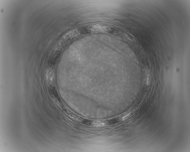 X0000053010701200507291708