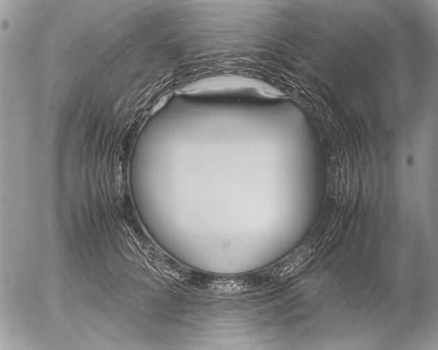 X0000053010704200507291708