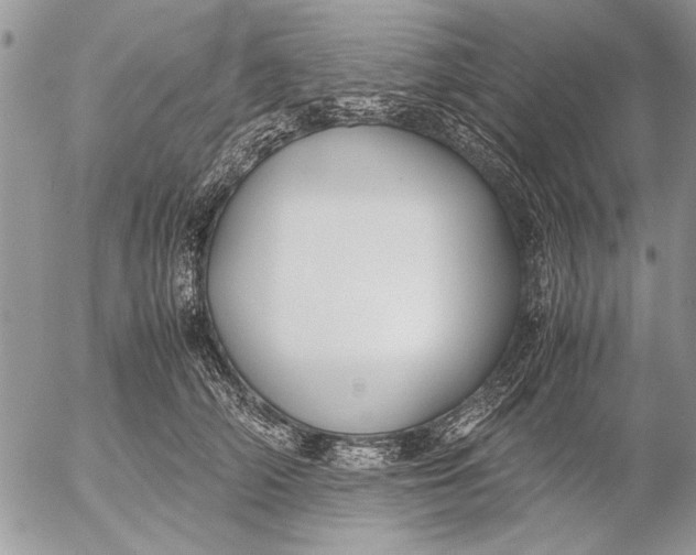 X0000053010706200507291708