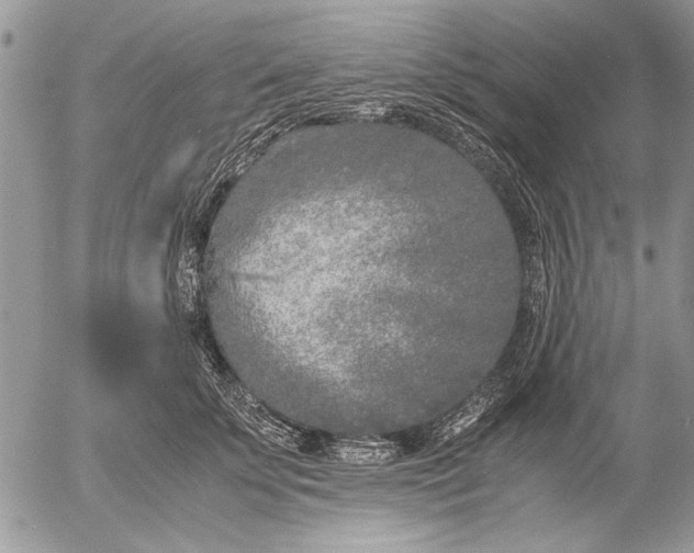 X0000053010707200507291708