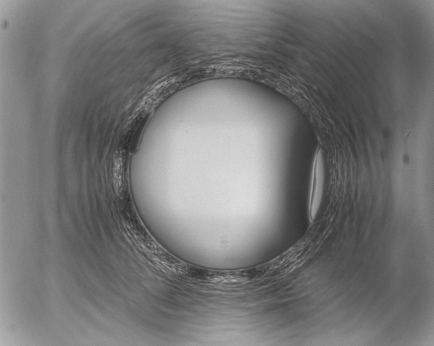 X0000053010708200507291708