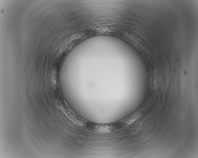 X0000053010710200507291708