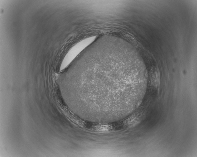 X0000053010711200507291708