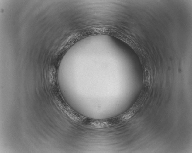 X0000053010712200507291708