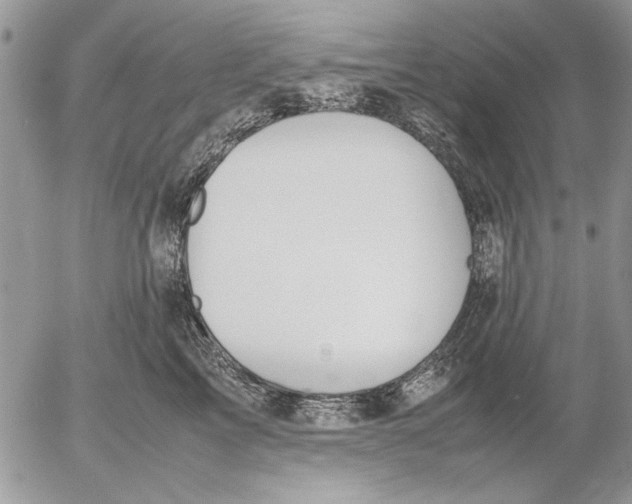 X0000053010713200507291708