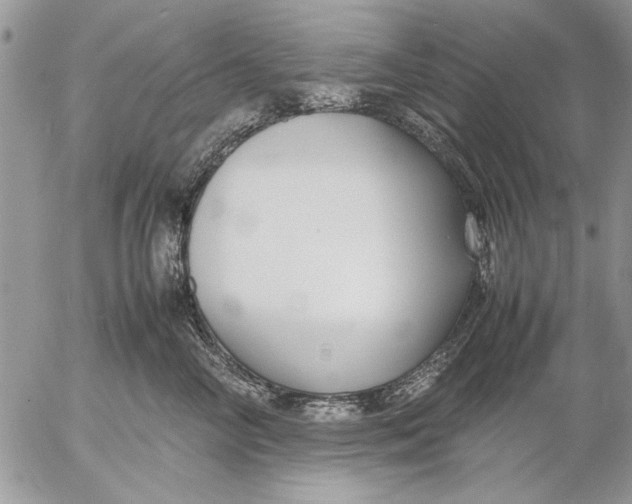 X0000053010714200507291708