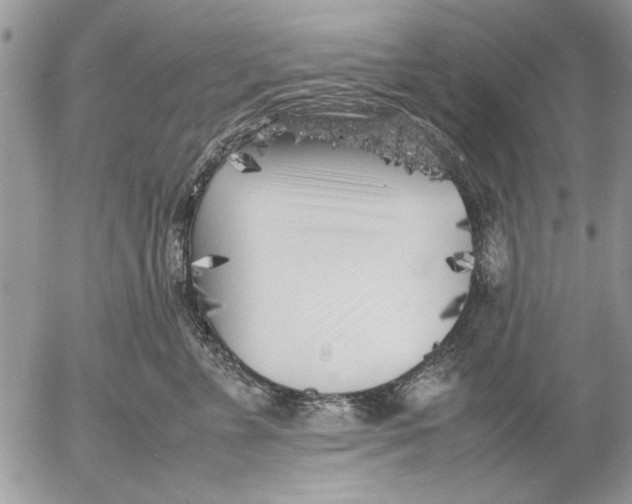 X0000053010715200507291708