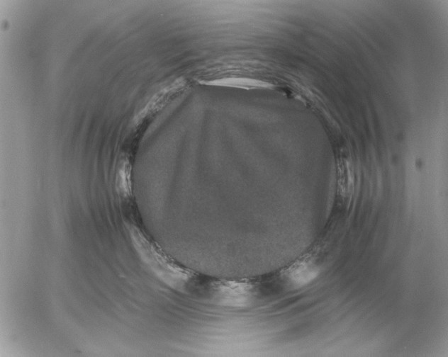 X0000053010718200507291708