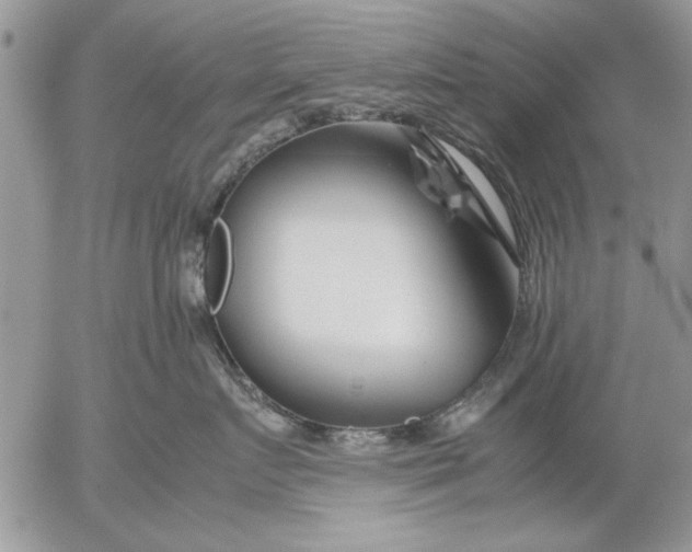 X0000053010719200507291708