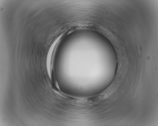 X0000053010720200507291708