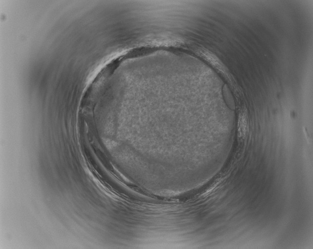 X0000053010722200507291707