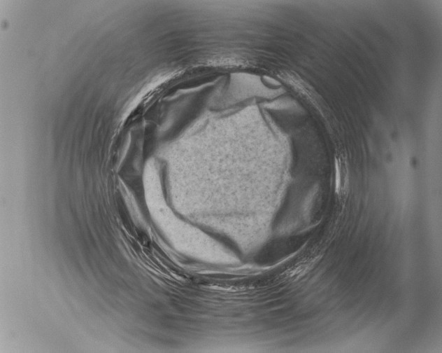 X0000053010723200507291707