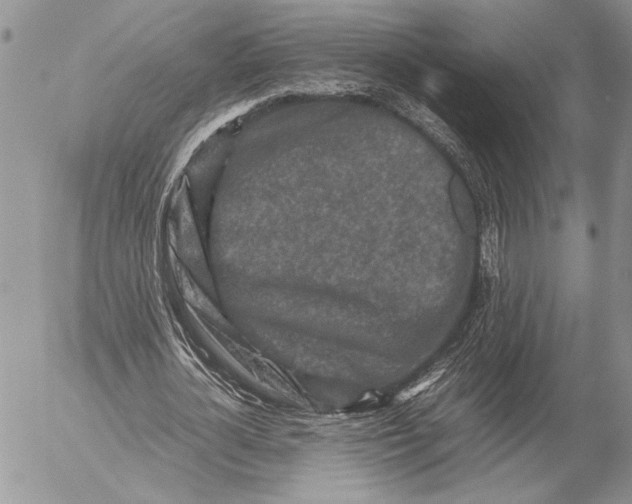 X0000053010724200507291707