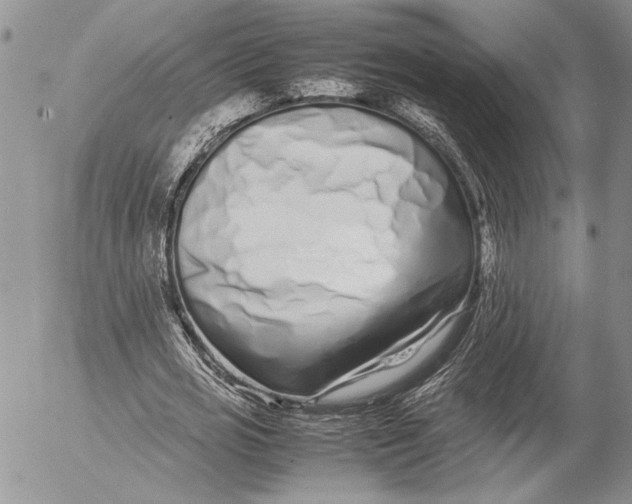 X0000053010725200507291707