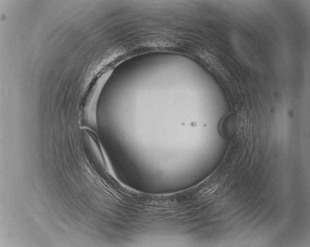 X0000053010727200507291707