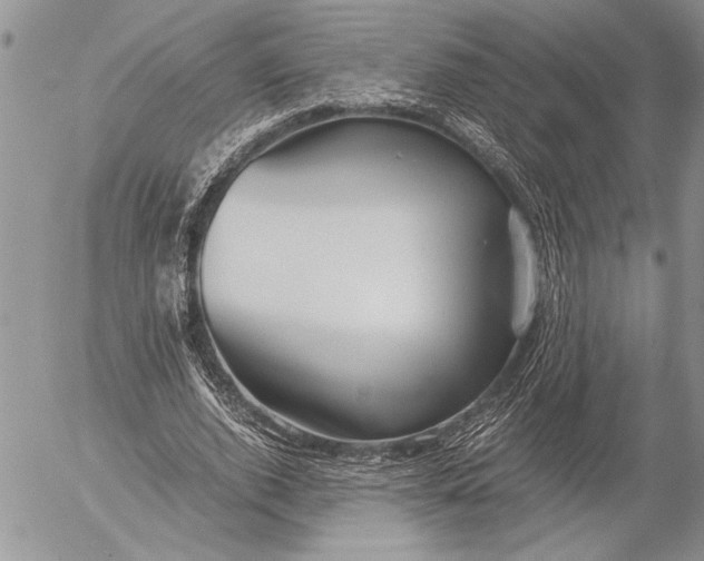 X0000053010728200507291707