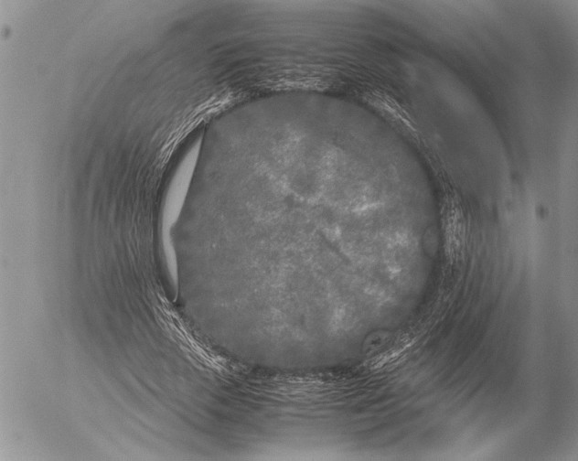 X0000053010729200507291707