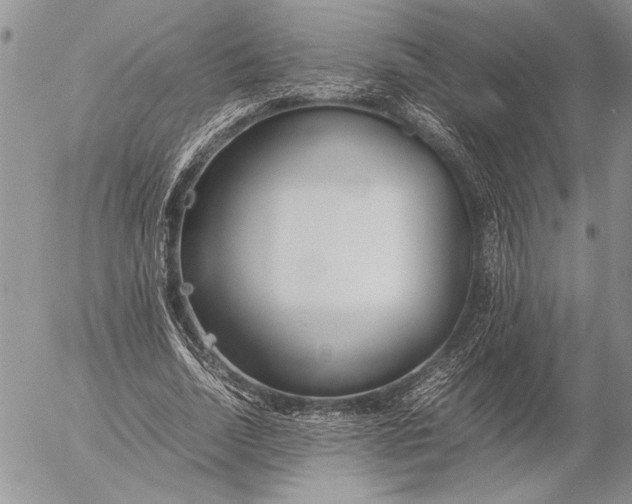 X0000053010730200507291707