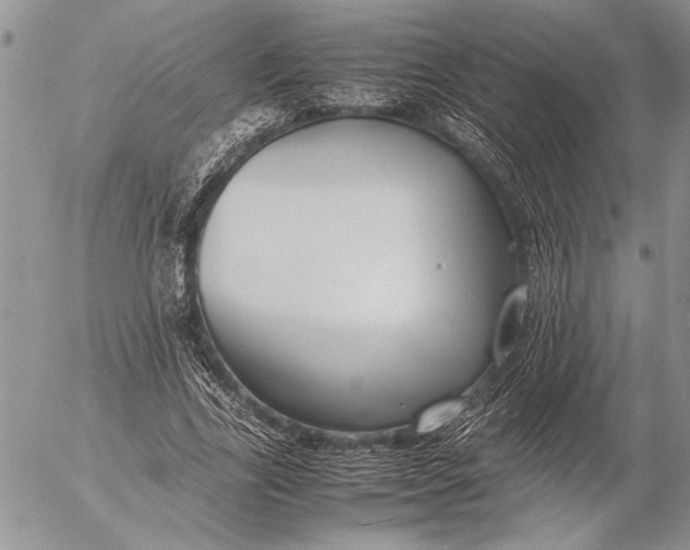 X0000053010731200507291707