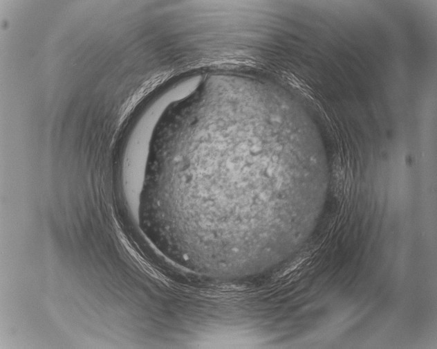 X0000053010734200507291707