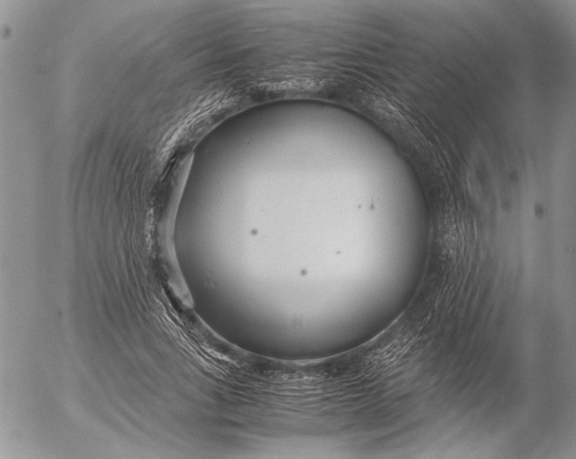 X0000053010735200507291707