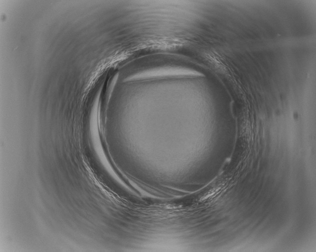 X0000053010736200507291707