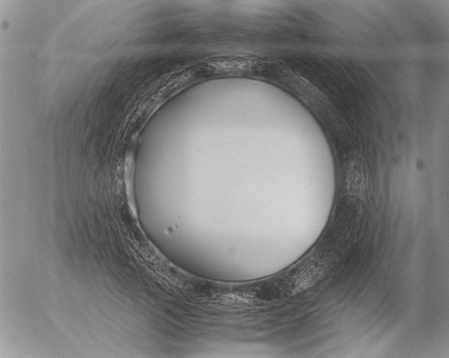 X0000053010737200507291707