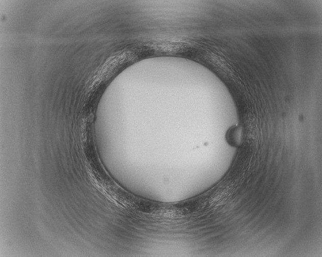 X0000053010738200507291707