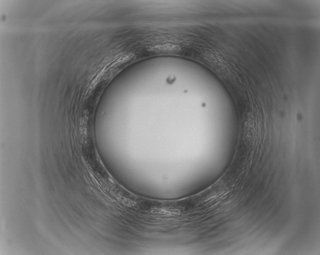 X0000053010739200507291707