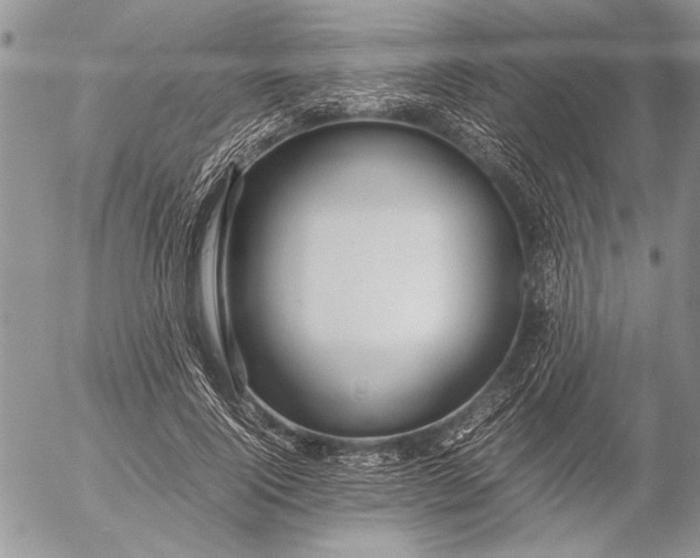 X0000053010740200507291707