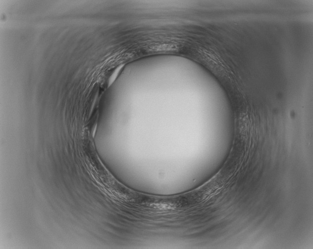 X0000053010741200507291707