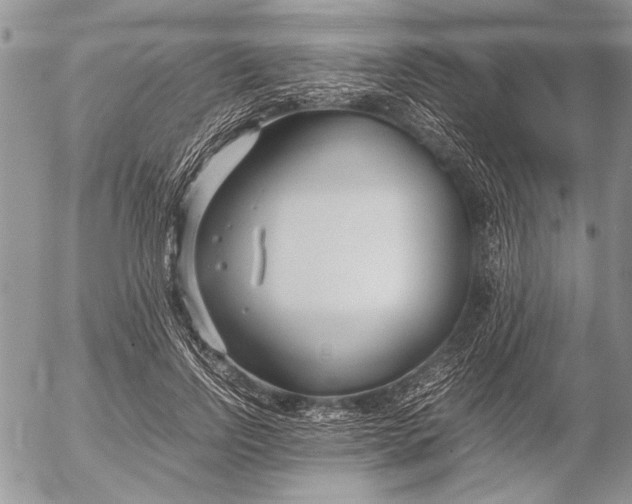 X0000053010742200507291707