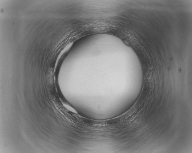 X0000053010744200507291707