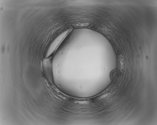 X0000053010745200507291707