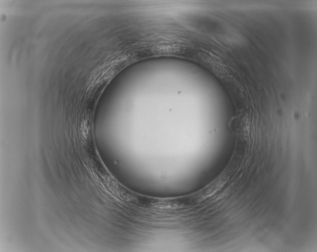 X0000053010746200507291707