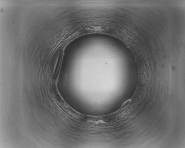 X0000053010747200507291707