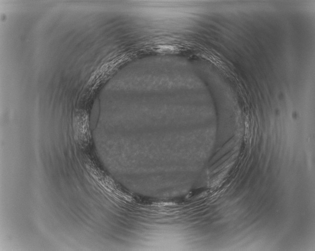 X0000053010748200507291707