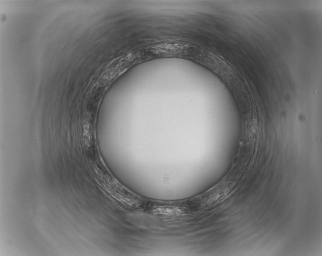 X0000053010749200507291707