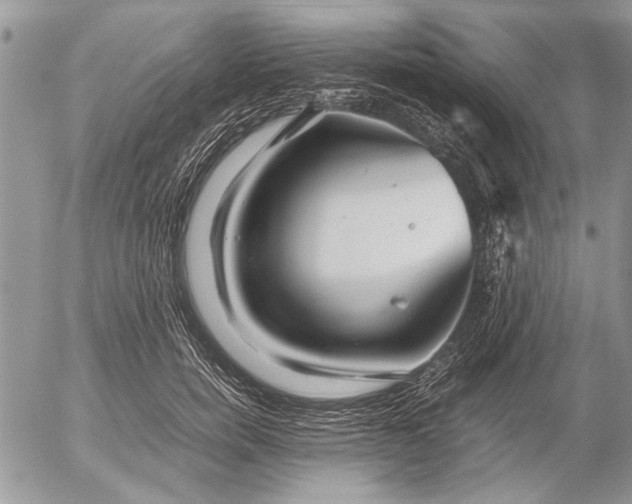 X0000053010750200507291707