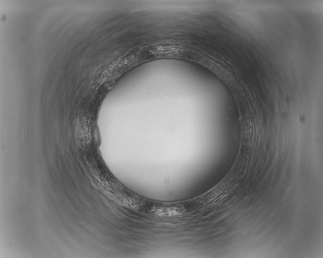 X0000053010751200507291707