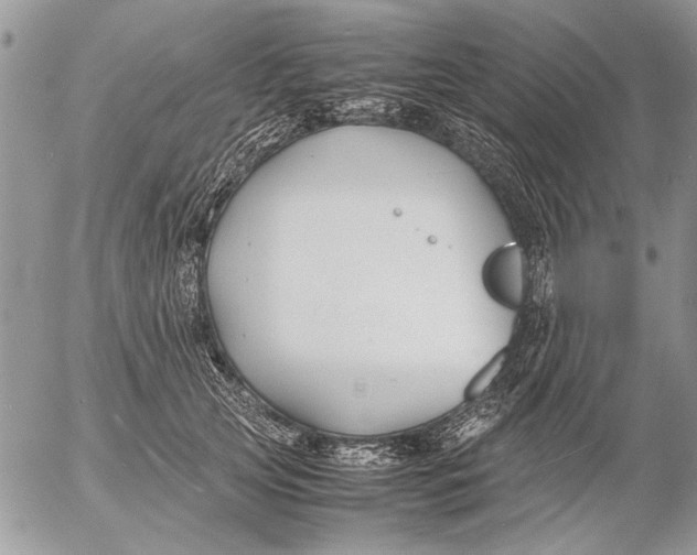 X0000053010753200507291707