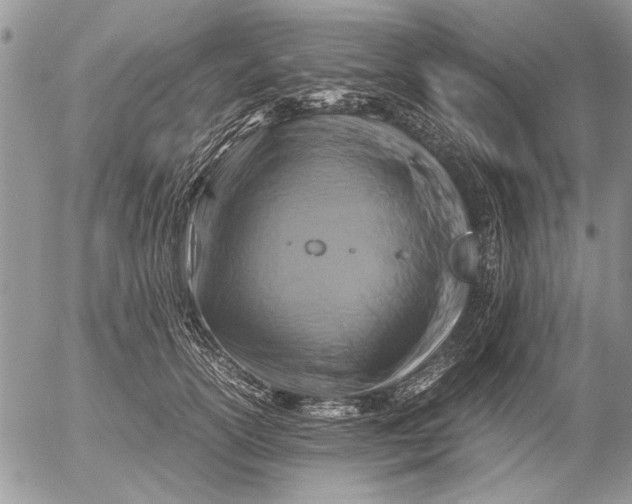 X0000053010754200507291707