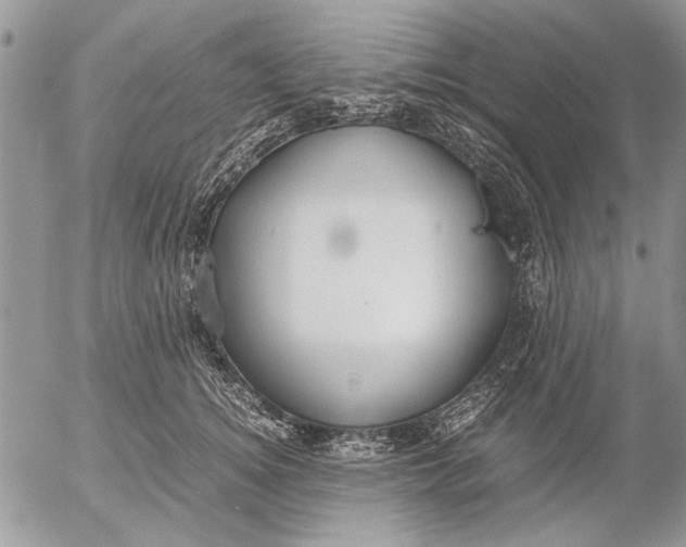 X0000053010756200507291707