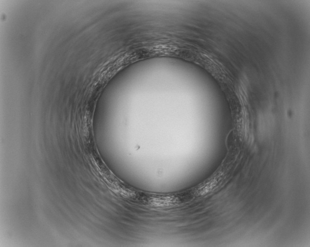 X0000053010757200507291707