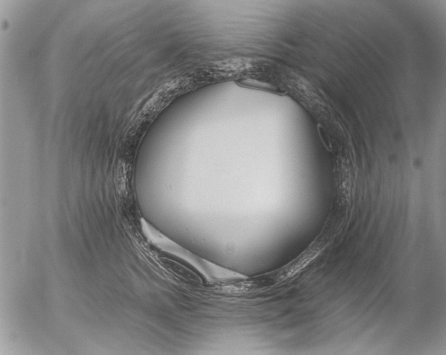 X0000053010758200507291707