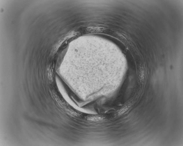 X0000053010759200507291707