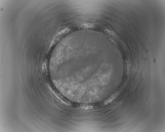 X0000053010760200507291707