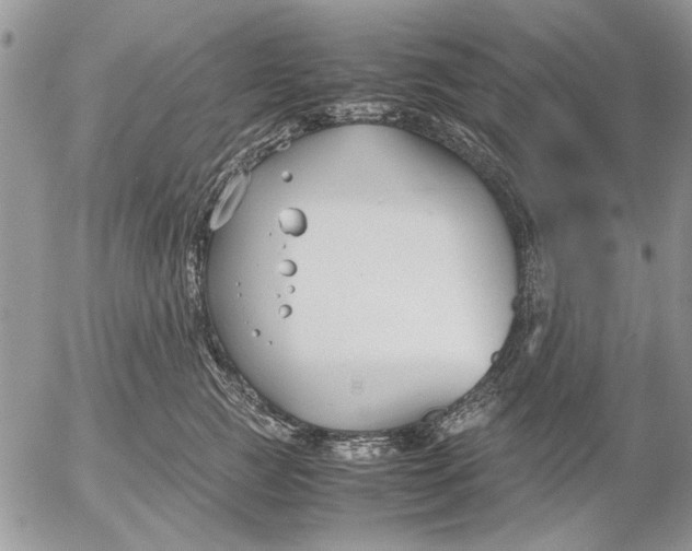 X0000053010761200507291707