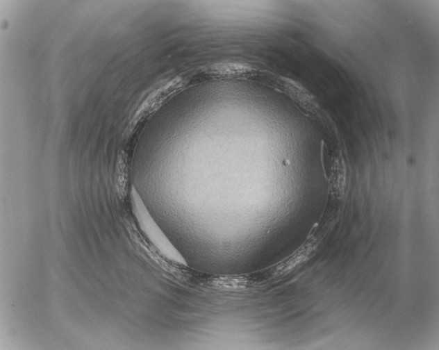 X0000053010762200507291707